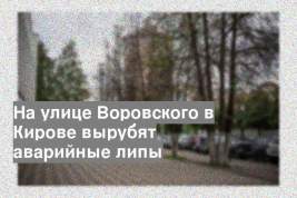 На улице Воровского в Кирове вырубят аварийные липы