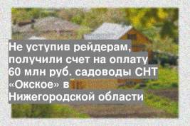 Не уступив рейдерам, получили счет на оплату 60 млн руб. садоводы СНТ «Окское» в Нижегородской области