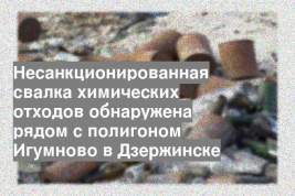 Несанкционированная свалка химических отходов обнаружена рядом с полигоном Игумново в Дзержинске