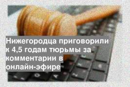 Нижегородца приговорили к 4,5 годам тюрьмы за комментарии в онлайн-эфире