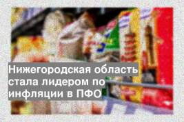 Нижегородская область стала лидером по инфляции в ПФО