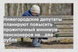 Нижегородские депутаты планируют повысить прожиточный минимум пенсионеров на…два рубля