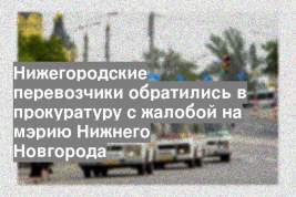 Нижегородские перевозчики обратились в прокуратуру с жалобой на мэрию Нижнего Новгорода