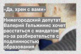 Нижегородский депутат Валерий Гельжинис хочет расстаться с мандатом из-за разбирательств с подлинностью образования