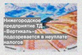 Нижегородское предприятие ТД «Вертикаль» подозревается в неуплате налогов