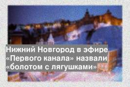 Нижний Новгород в эфире «Первого канала» назвали «болотом с лягушками»