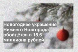 Новогоднее украшение Нижнего Новгорода обойдётся в 15,6 миллиона рублей