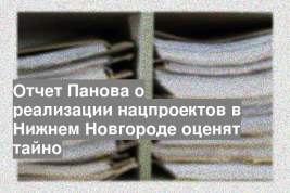 Отчет Панова о реализации нацпроектов в Нижнем Новгороде оценят тайно