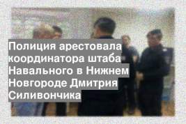 Полиция арестовала координатора штаба Навального в Нижнем Новгороде Дмитрия Силивончика