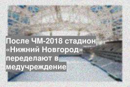 После ЧМ-2018 стадион «Нижний Новгород» переделают в медучреждение