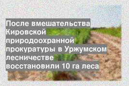 После вмешательства Кировской природоохранной прокуратуры в Уржумском лесничестве восстановили 10 га леса