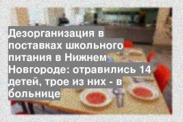 Дезорганизация в поставках школьного питания в Нижнем Новгороде: отравились 14 детей, трое из них - в больнице