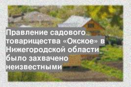 Правление садового товарищества «Окское» в Нижегородской области было захвачено неизвестными