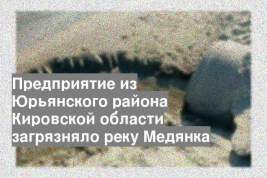 Предприятие из Юрьянского района Кировской области загрязняло реку Медянка