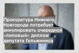 Прокуратура Нижнего Новгорода потребует аннулировать очередной «липовый» диплом депутата Гельжиниса