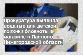 Прокуратура выявила вредные для детской психики блокноты в магазине в Павлово Нижегородской области