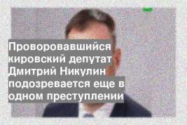Проворовавшийся кировский депутат Дмитрий Никулин подозревается еще в одном преступлении