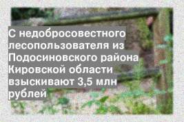С недобросовестного лесопользователя из Подосиновского района Кировской области взыскивают 3,5 млн рублей