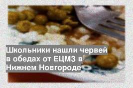 Школьники нашли червей в обедах от ЕЦМЗ в Нижнем Новгороде