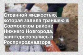 Странной жидкостью, которая залила траншею в Сормовском районе Нижнего Новгорода, заинтересовались в Росприроднадзоре
