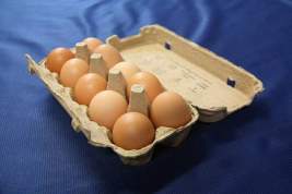 Удмуртские яйца с антибиотиком нашли в детсаду Кирова