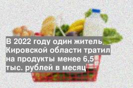 В 2022 году один житель Кировской области тратил на продукты менее 6,5 тыс. рублей в месяц