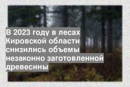 В 2023 году в лесах Кировской области снизились объемы незаконно заготовленной древесины