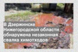 В Дзержинске Нижегородской области обнаружена незаконная свалка химотходов