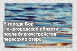 В городе Бор Нижегородской области после благоустройства пересохло озеро