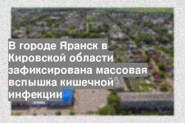 В городе Яранск в Кировской области зафиксирована массовая вспышка кишечной инфекции