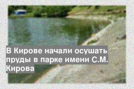 В Кирове начали осушать пруды в парке имени С.М. Кирова