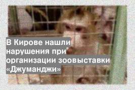 В Кирове нашли нарушения при организации зоовыставки «Джуманджи»