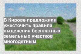 В Кирове предложили ужесточить правила выделения бесплатных земельных участков многодетным