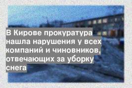 В Кирове прокуратура нашла нарушения у всех компаний и чиновников, отвечающих за уборку снега