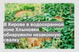 В Кирове в водоохранной зоне Хлыновки обнаружили незаконную свалку