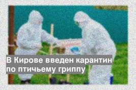 В Кирове введен карантин по птичьему гриппу