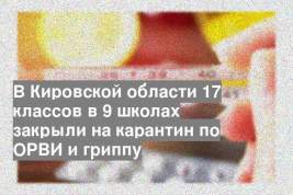 В Кировской области 17 классов в 9 школах закрыли на карантин по ОРВИ и гриппу