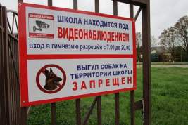 В Кировской области более 600 собаководов оштрафованы за неправильный выгул питомцев