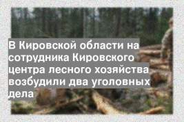 В Кировской области на сотрудника Кировского центра лесного хозяйства возбудили два уголовных дела