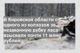 В Кировской области с одного из колхозов за незаконную рубку леса взыскали почти 11 млн рублей