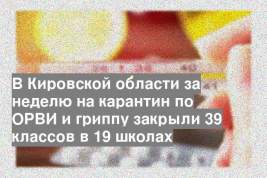В Кировской области за неделю на карантин по ОРВИ и гриппу закрыли 39 классов в 19 школах