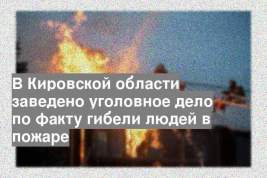 В Кировской области заведено уголовное дело по факту гибели людей в пожаре