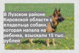 В Лузском районе Кировской области с владельца собаки, которая напала на ребенка, взыскали 15 тыс. рублей