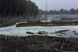 В министерстве охраны окружающей среды Кировской области подтвердили загрязнение озера Ивановское в Кирово-Чепецке