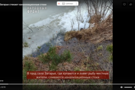 В министерстве охраны окружающей среды Кировской области проверяют информацию о загрязнении пруда в Загарье