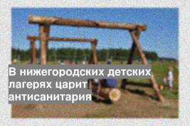 В нижегородских детских лагерях царит антисанитария