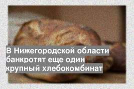 В Нижегородской области банкротят еще один крупный хлебокомбинат