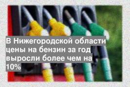 В Нижегородской области цены на бензин за год выросли более чем на 10%