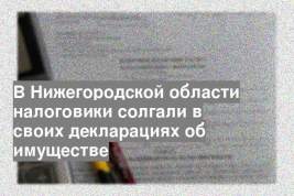 В Нижегородской области налоговики солгали в своих декларациях об имуществе