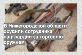 В Нижегородской области осудили сотрудника нацгвардии за торговлю оружием